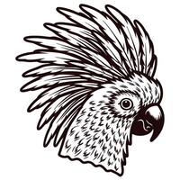 Intricately detailed parrot head with prominent feathers in a stylized art design vector