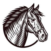 Monochrome of a horse head with a detailed mane in profile view vector