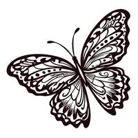 Intricate black and white butterfly design with detailed patterns vector