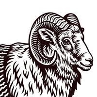 Intricate black and white of a ram with curved horns and detailed fur pattern vector