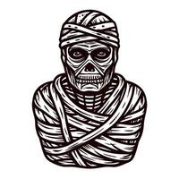 of a wrapped mummy statue with intense stare and intricate details vector