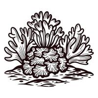 Intricate black and white of coral with detailed patterns vector