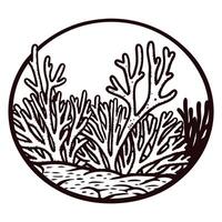 Illustrative coral reef composition in circular frame with detailed marine flora vector