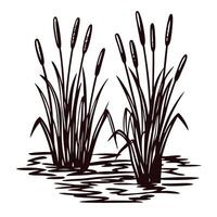 Silhouette of cattail plants growing by a pond in a minimalist nature design vector