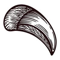 Detailed of a sharp animal claw, featuring intricate textures and lines vector