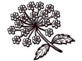 of a botanical flower with detailed petals and leaves design vector