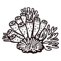 Detailed of marine coral with tubular structures and branching seaweed vector