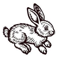 Detailed black and white of a rabbit in motion vector