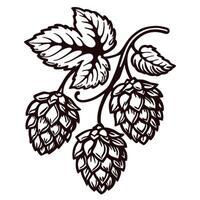 Hops plant with intricate leaf and cone design in black and white vector