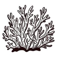 Black and white of intricate coral reef structure with detailed branch patterns in natural setting vector