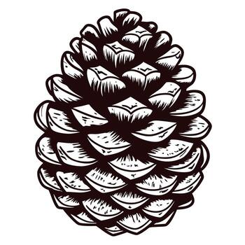 detallado negro y blanco dibujo de un pino cono con intrincado patrones y natural textura vector