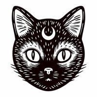 Black cat with crescent moon on forehead in detailed vector