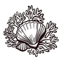 Seashell and coral in detailed monochrome design vector