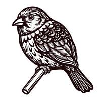 Intricate woodcut sparrow on branch vector