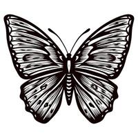 Intricate black and white butterfly with detailed wing patterns vector