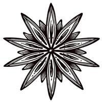 Intricate black and white geometric mandala design with symmetrical patterns vector