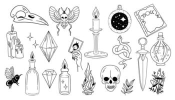 Magic elements set. Witchcraft, magic potion, crystal, skull, magic wand, magic book. illustration. vector