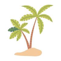 A cartoon illustration of a palm tree with a white background. Summer vector