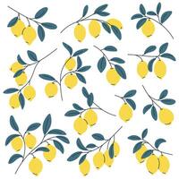 Set of lemon tree branches with ripe lemons. Perfect for summer, botanical and food designs. vector