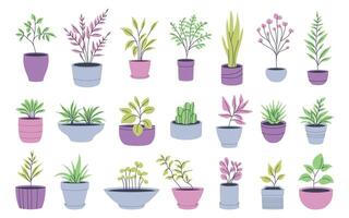 Set of illustrations of potted plants. Perfect for minimalist and botanical designs. vector