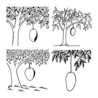 illustration of mango tree vector