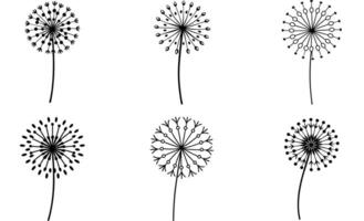 Dandelion Flower Icon Set vector