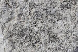 Porous Fossil Limestone Rock Surface photo
