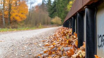 Autumnal Path with Fallen Leaves Beside a Weathered Railing in Woods photo