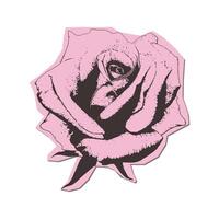 A rose torn out paper sticker with a retro photocopy effect. Stippling technique. Grungy Texture. illustration. vector