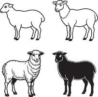 line art sheep icon set vector
