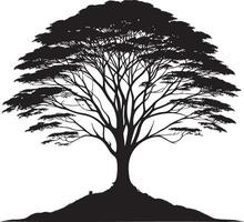 A black tree silhouette, a nature symbol with branches and roots, stands stark against white vector