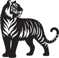 A wild, striped tiger illustration, a black and white mammal from the zoo vector