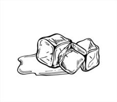 Monochrome melting ice cubes with spreading water puddle illustration painted by black inks. Etching drawing of frozen cubes for beverage branding, scientific infographics on phase transitions vector