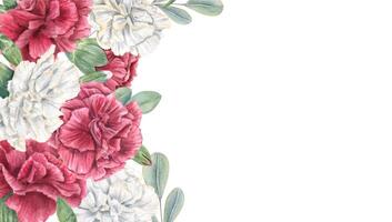 Red and white carnations, eucalyptus branches rectangle border with empty space for text. Flower bouquet watercolor illustration isolated background. Floral horizontal frame for wedding invitations. vector