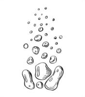 monochrome rising water or air bubbles in varying sizes line art black ink sketch. Underwater fizzing bubbles for beverage labels, sparkling water branding, cocktail menus, wellness blogs vector