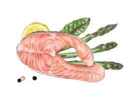 Steamed salmon steak with lemon slice, asparagus and greenery watercolor food illustration isolated background. Healthy protein diet with trout fish and green vegetables. Top view. For menu, recipes. vector