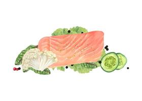 Watercolor salmon fillet with vegetables, black peppers, salad leaves illustration isolated background. Trout fish, cauliflower, cucumber slices hand painting seafood dish for menu, cookbook. Top view vector