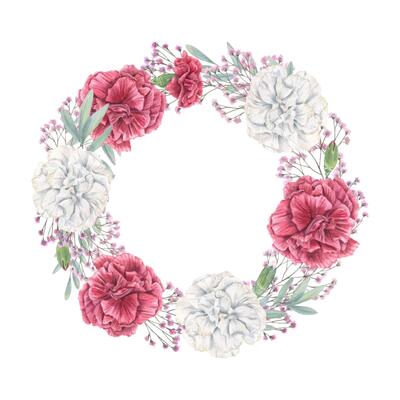 Watercolor red and white carnations, gypsophila and eucalyptus branches wreath with copy space for text. Floral bouquet watercolor illustration isolated background. Floral round frame for invitation
