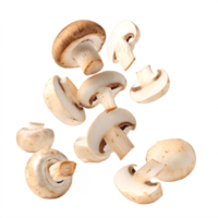 Falling Sliced Mushrooms in Studio Lighting Transparent Background png