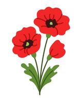A red poppy flower with green leaves. The flower is in the middle of the image vector