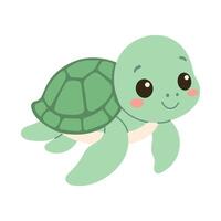 A cute cartoon turtle is smiling and looking at the camera. The turtle is green and has a cute, cuddly appearance vector