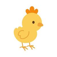 A cartoon chicken with an orange beak and yellow feathers. The chicken is standing on its two legs and looking up vector