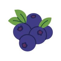 A close up of four blueberries with green leaves. The blueberries are small and round, and the leaves are green and leafy. The image has a simple and natural feel to it, with the focus on the fruit vector