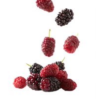 Falling Mulberries Isolated on Transparent Background png