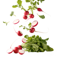 Fresh Radishes Falling in Mid Air Studio Shot Transparent Background png