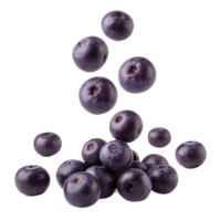 Fresh Acai Berries Falling and Stacked on Transparent Background png