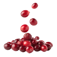 Fresh Cranberries Falling onto a Pile Isolated on White Transparent Background png