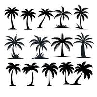 Palm Tree Silhouettes and Illustrations Set vector