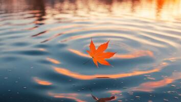 Floating Orange Maple Leaf Creates Ripples on Reflective Water Surface photo
