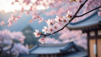 Blooming Cherry Blossoms Branch with Traditional Building and Mountain Backdrop photo